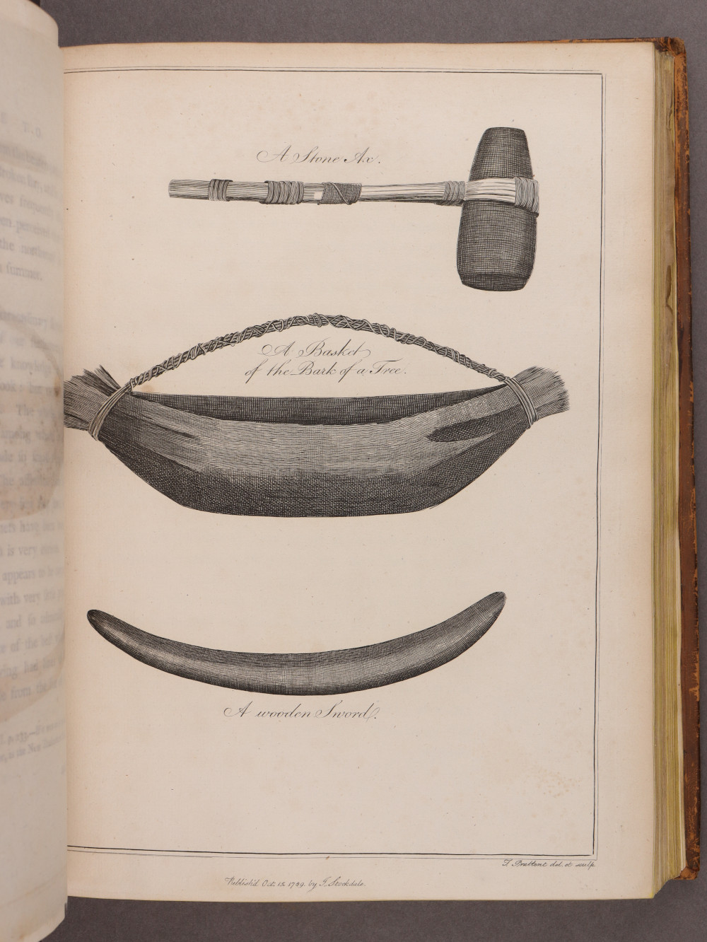 Plate 13